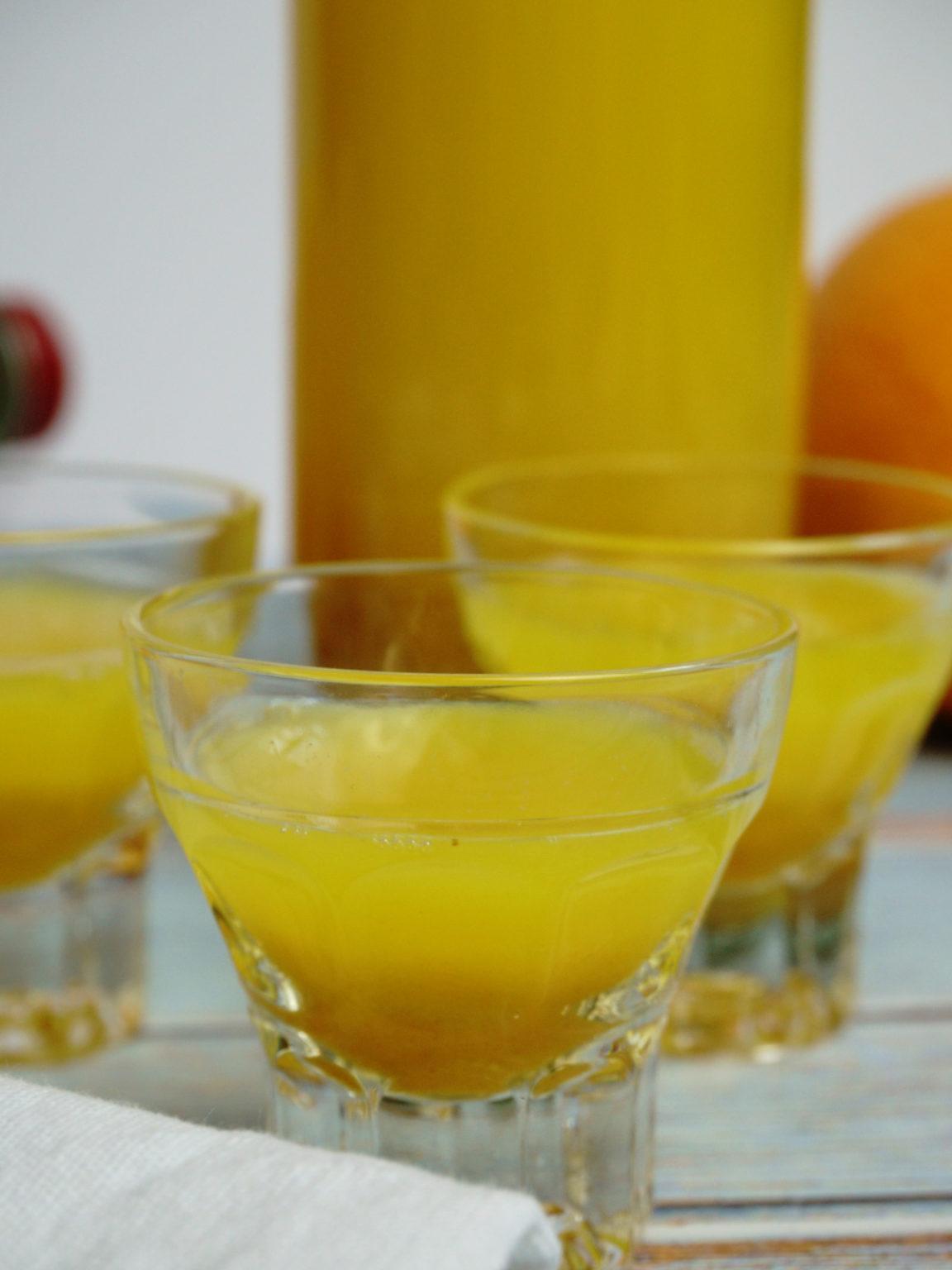 IngwerKurkumaShots Gesundes Rezept 🌱